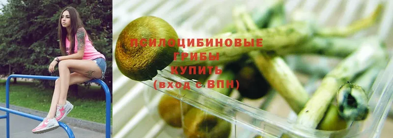 Псилоцибиновые грибы Psilocybine cubensis  купить наркотик  Баймак 